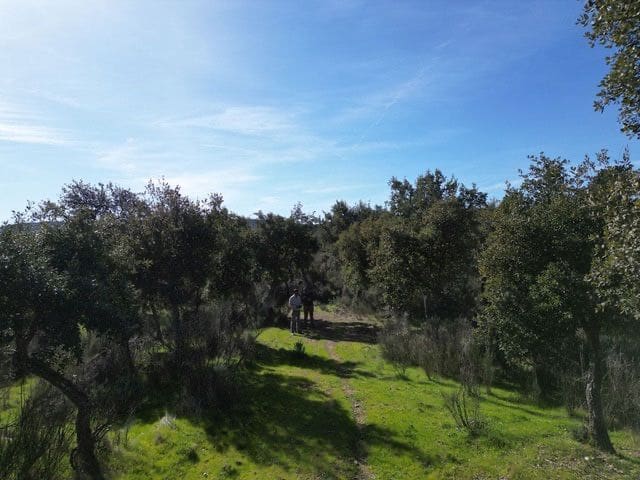 Finca/Hus på landet till salu i Valencia de Alcántara - 125 000 € (Ref: 9426879)