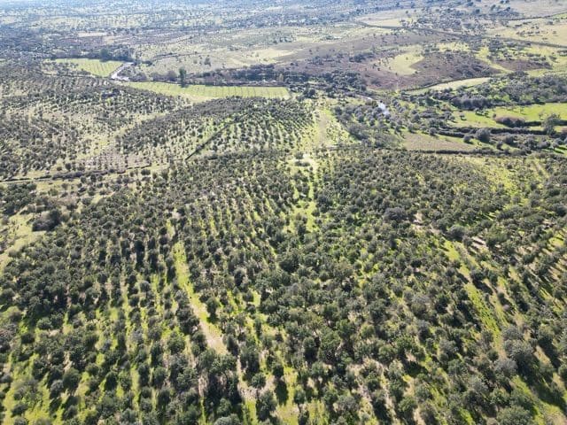 Finca/Hus på landet till salu i Valencia de Alcantara - 125 000 € (Ref: 9426879)