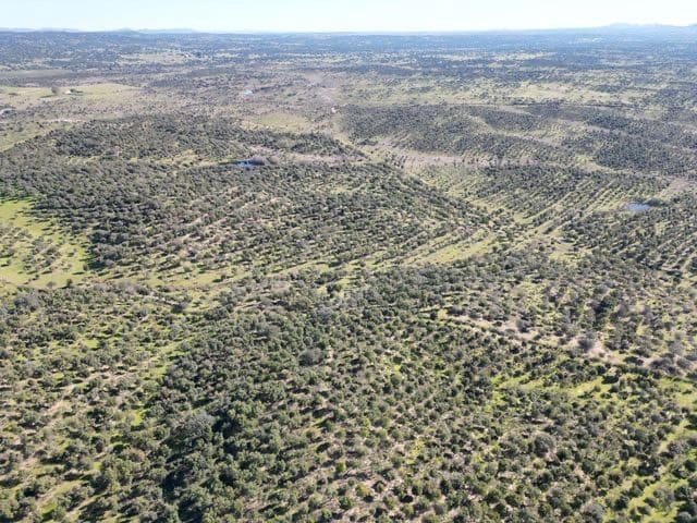 Finca/Hus på landet till salu i Valencia de Alcantara - 125 000 € (Ref: 9426879)