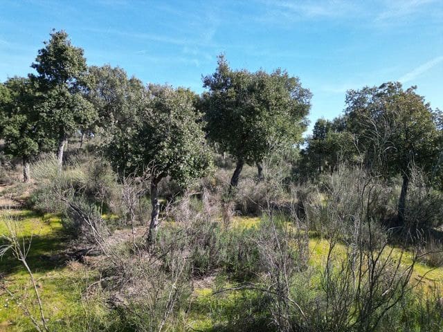 Finca/Hus på landet till salu i Valencia de Alcantara - 125 000 € (Ref: 9426879)