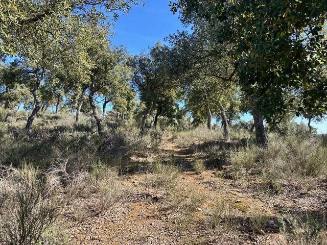 Finca/Hus på landet till salu i Valencia de Alcantara - 125 000 € (Ref: 9426879)