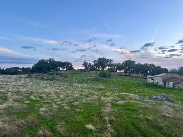 Finca/Landehus til salg i San Vicente de Alcántara - € 65.000 (Ref: 9448618)