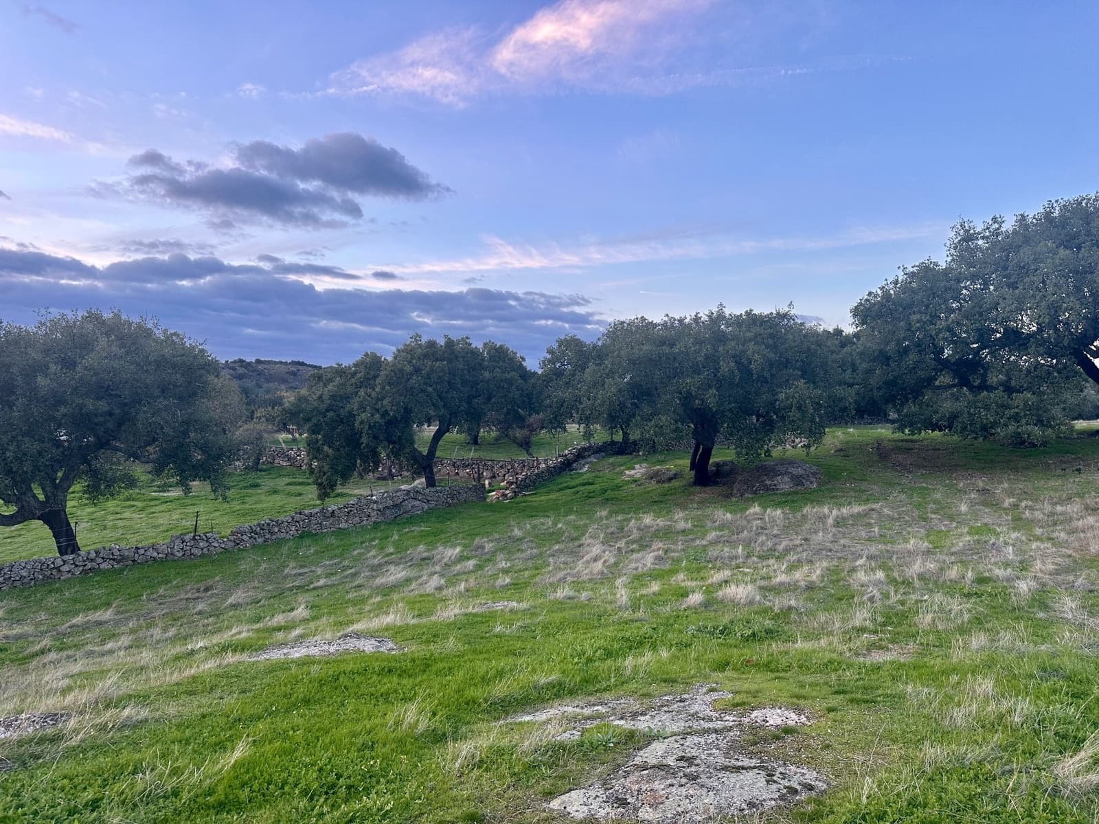 Finca/Herregård til salgs i San Vicente de Alcantara - € 65 000 (Ref: 9448618)