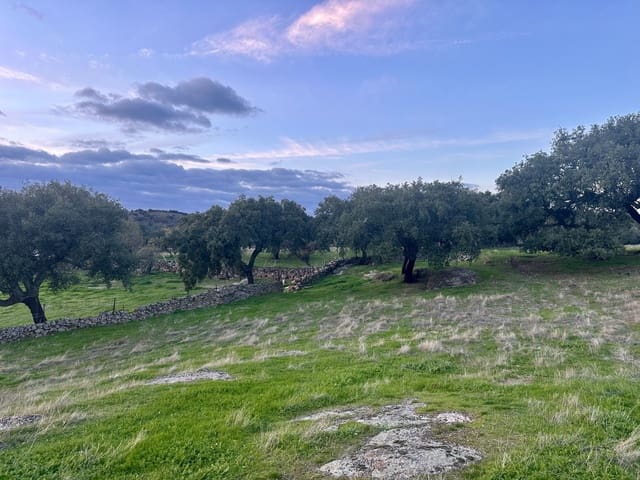 Finca/Landehus til salg i San Vicente de Alcántara - € 65.000 (Ref: 9448618)