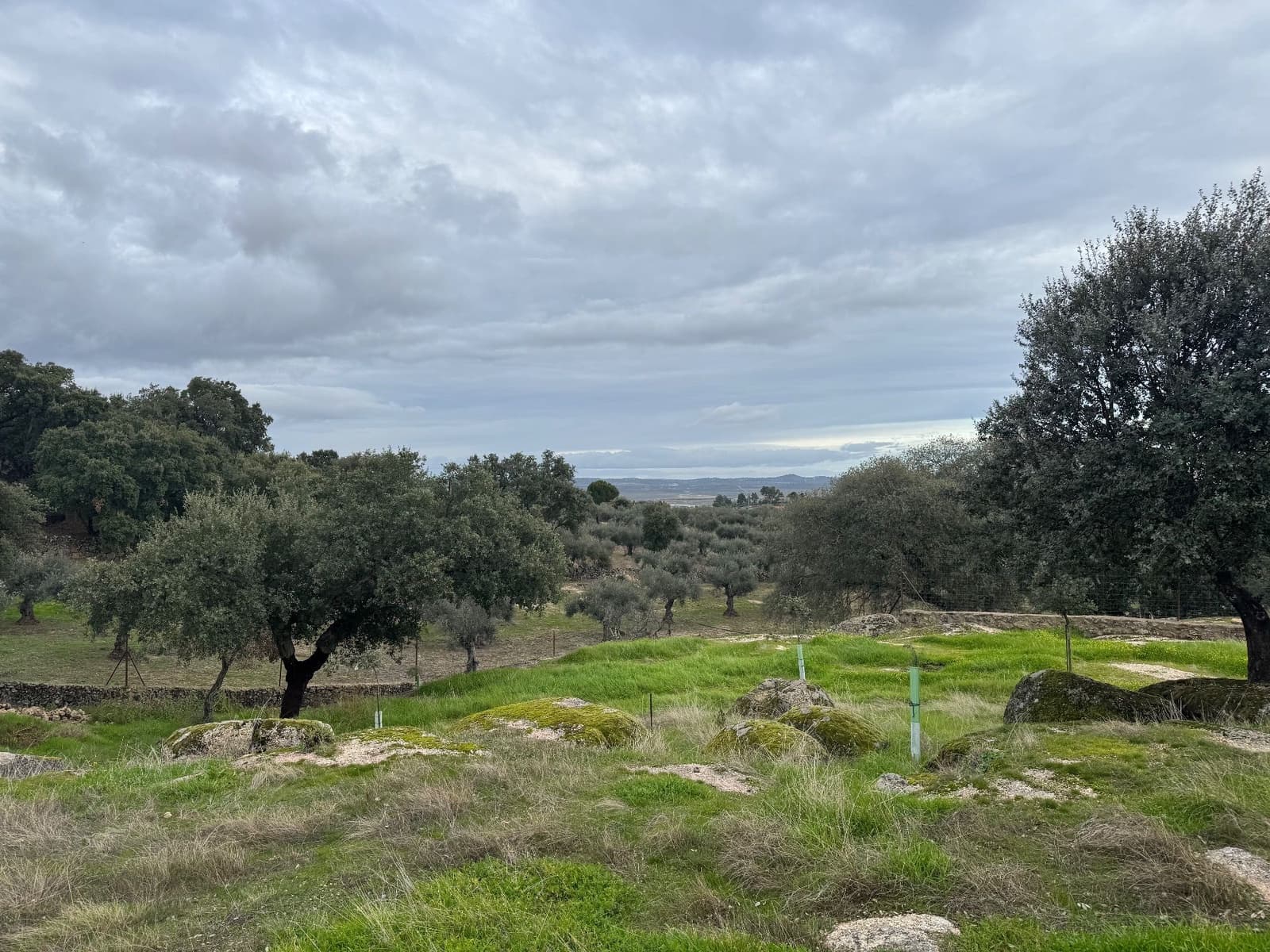 2 quarto Quinta/Casa Rural para venda em San Vicente de Alcantara com piscina - 295 000 € (Ref: 9451515)