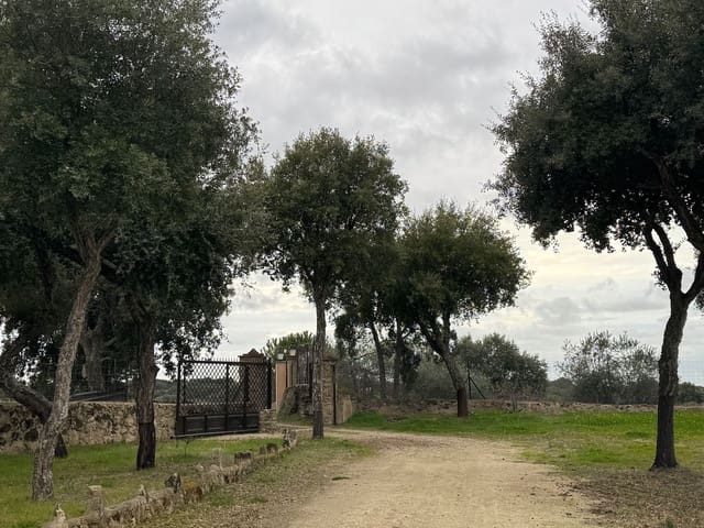 2 sypialnia Finka/Dom wiejski na sprzedaż w San Vicente de Alcántara z basenem - 295 000 € (Ref: 9451515)