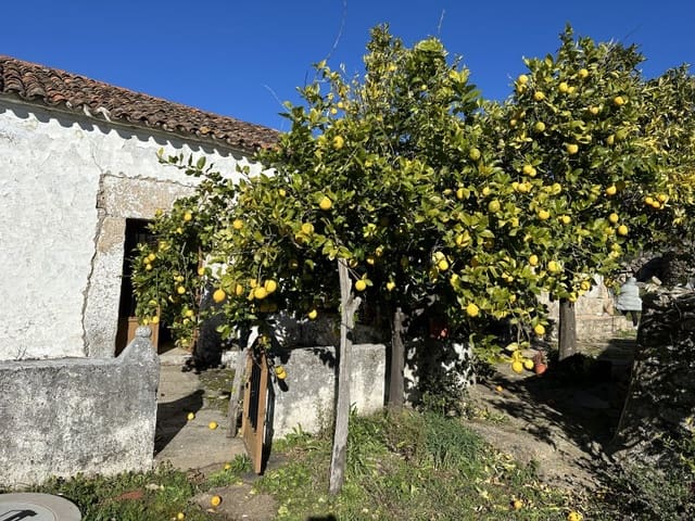 Finca/Casa Rural de 2 habitaciones en Valencia de Alcántara en venta - 50.000 € (Ref: 9643337)