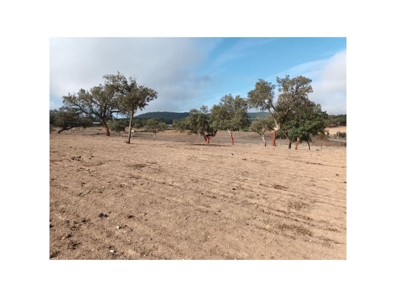 Landgrundstück zu verkaufen in Alburquerque - 250.000 € (Ref: 9643338)