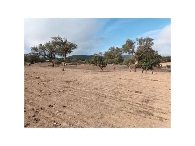 Landgrundstück zu verkaufen in Alburquerque - 250.000 € (Ref: 9643338)