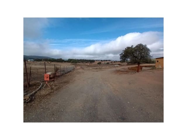 Landgrundstück zu verkaufen in Alburquerque - 250.000 € (Ref: 9643338)