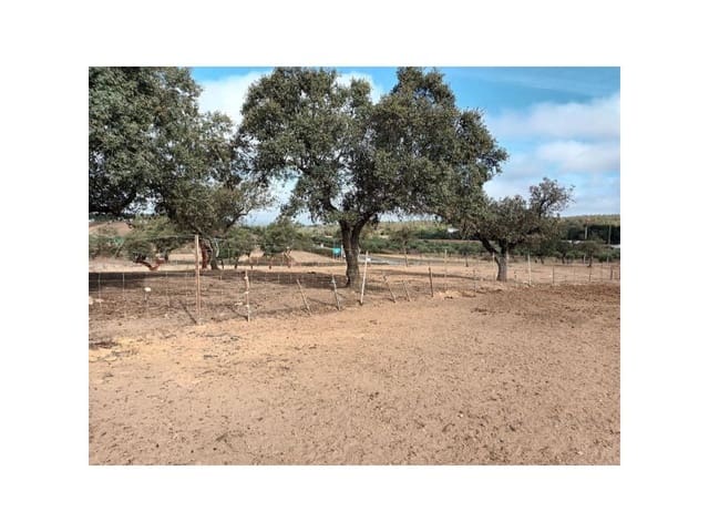 Landgrundstück zu verkaufen in Alburquerque - 250.000 € (Ref: 9643338)