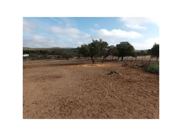 Landgrundstück zu verkaufen in Alburquerque - 250.000 € (Ref: 9643338)
