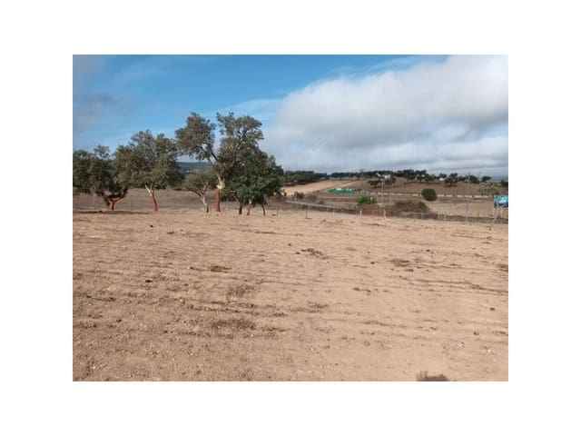 Landgrundstück zu verkaufen in Alburquerque - 250.000 € (Ref: 9643338)