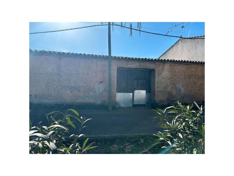 Terre non Aménagée à vendre à San Vicente de Alcantara - 56 000 € (Ref: 9643339)