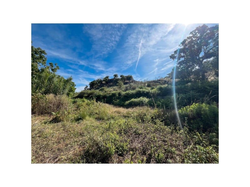 Terreno/Finca Rústica en Valencia de Alcántara en venta - 22.000 € (Ref: 9643340)