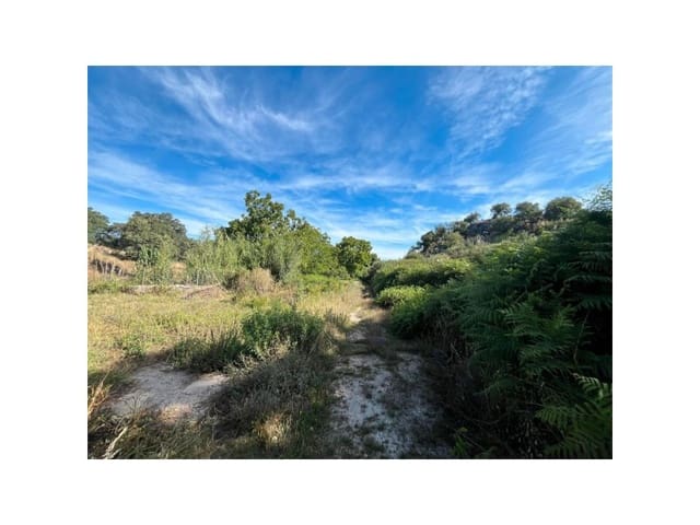 Terreno/Finca Rústica en Valencia de Alcántara en venta - 22.000 € (Ref: 9643340)