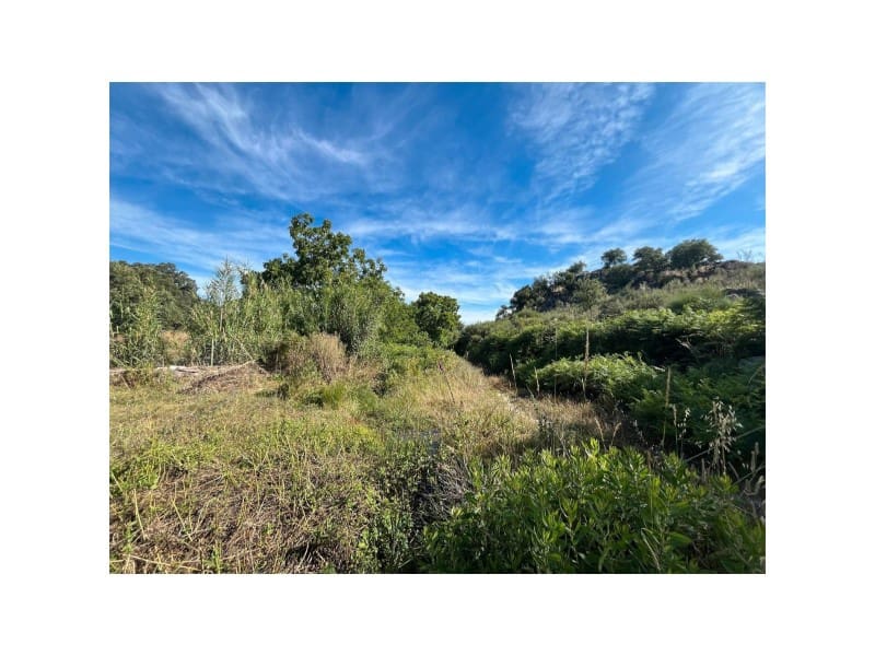 Terreno/Finca Rústica en Valencia de Alcántara en venta - 22.000 € (Ref: 9643340)