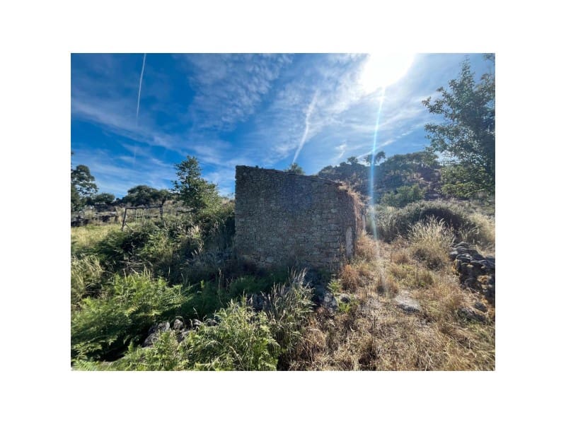 Terreno/Finca Rústica en Valencia de Alcántara en venta - 22.000 € (Ref: 9643340)