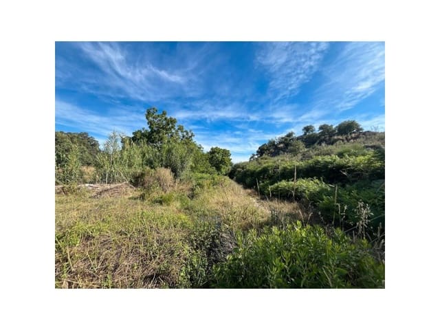 Terreno/Finca Rústica en Valencia de Alcántara en venta - 22.000 € (Ref: 9643340)