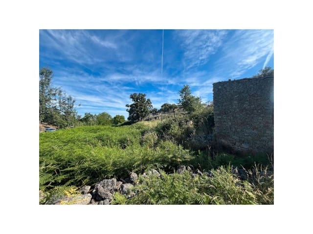 Terreno/Finca Rústica en Valencia de Alcántara en venta - 22.000 € (Ref: 9643340)