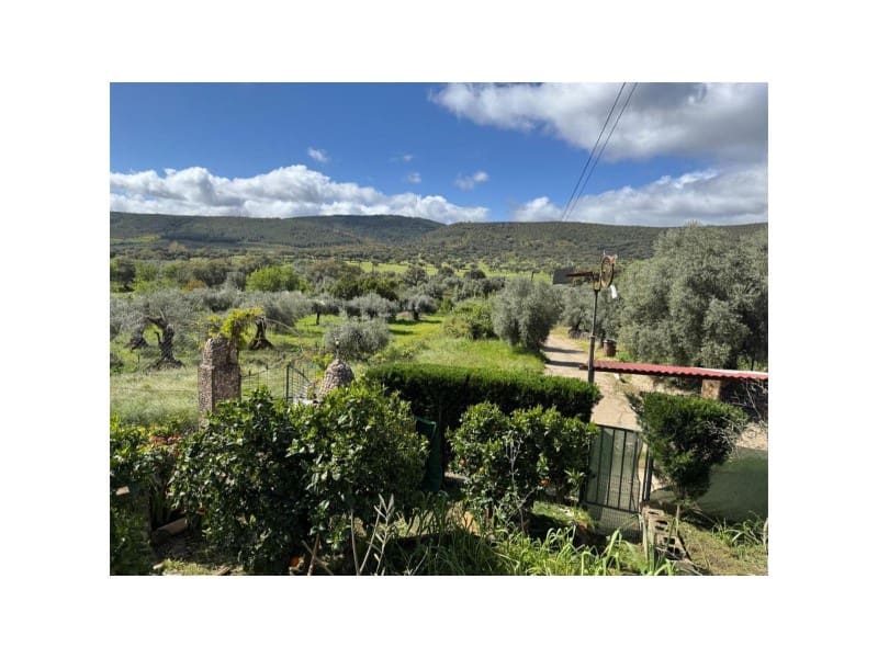 Finca/Casa Rural de 3 habitaciones en Valencia de Alcántara en venta - 82.000 € (Ref: 9643341)