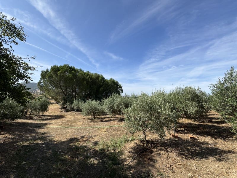 4 slaapkamer Finca/Landhuis te koop in Santiago de Alcantara met zwembad garage - € 195.000 (Ref: 9643342)