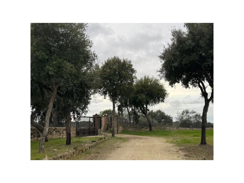 Finca/Casa Rural de 2 habitaciones en San Vicente de Alcántara en venta con piscina garaje - 295.000 € (Ref: 9643343)