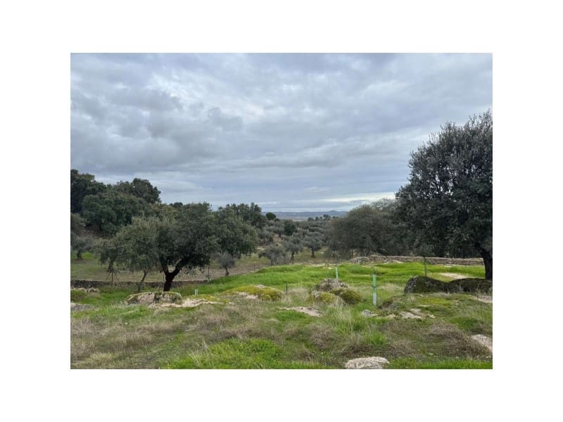 Finca/Casa Rural de 2 habitaciones en San Vicente de Alcántara en venta con piscina garaje - 295.000 € (Ref: 9643343)