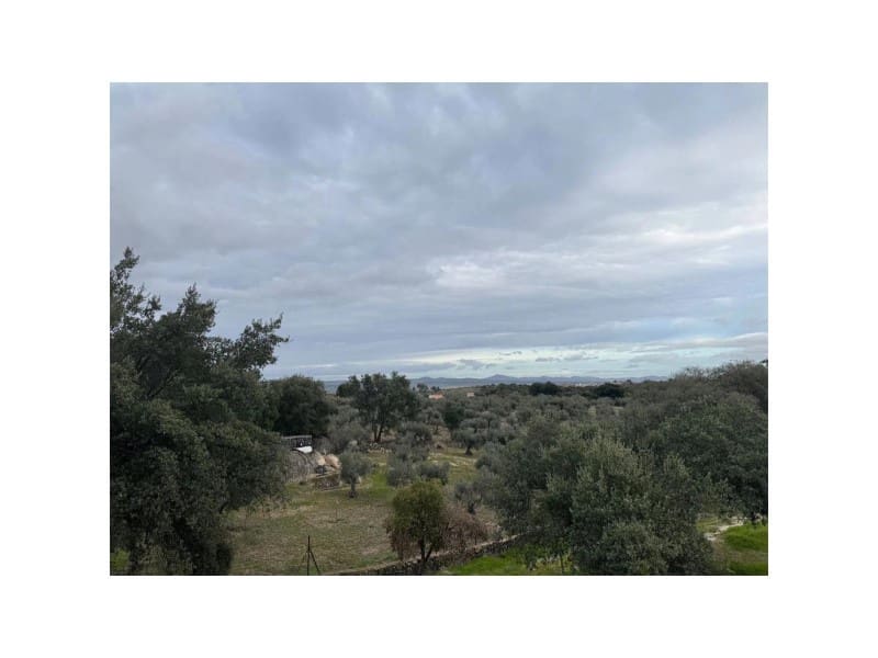 Finca/Casa Rural de 2 habitaciones en San Vicente de Alcántara en venta con piscina garaje - 295.000 € (Ref: 9643343)