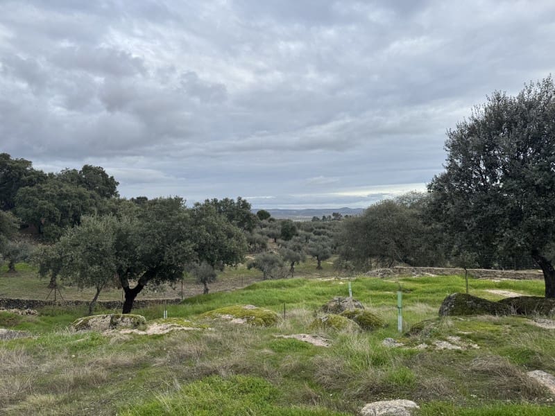 2 soveværelse Finca/Landehus til salg i San Vicente de Alcantara med swimmingpool garage - € 295.000 (Ref: 9643343)