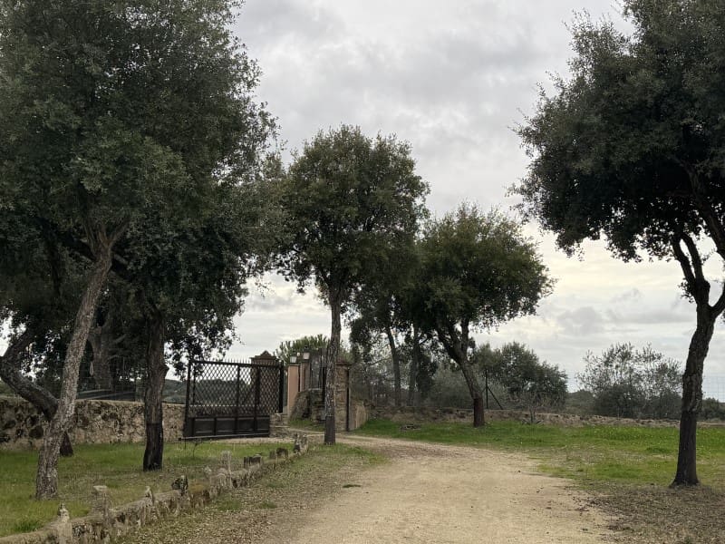 2 camera da letto Finca/Casa di Campagna in vendita in San Vicente de Alcantara con piscina garage - 238.000 € (Rif: 9643343)