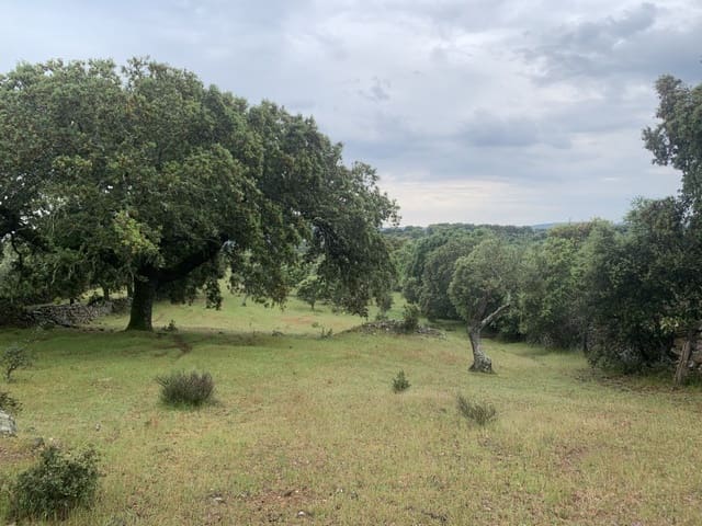 Finca/Casa Rural de 2 habitaciones en San Vicente de Alcántara en venta - 45.000 € (Ref: 9643345)