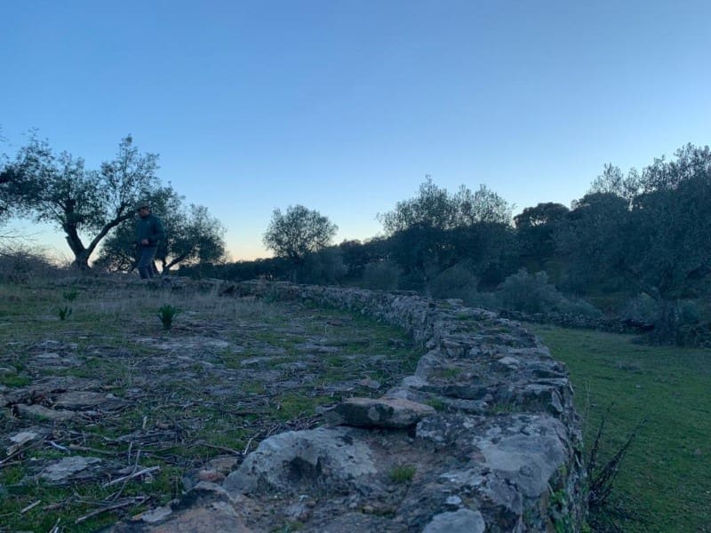 Finca/Casa Rural de 2 habitaciones en San Vicente de Alcántara en venta - 45.000 € (Ref: 9643345)