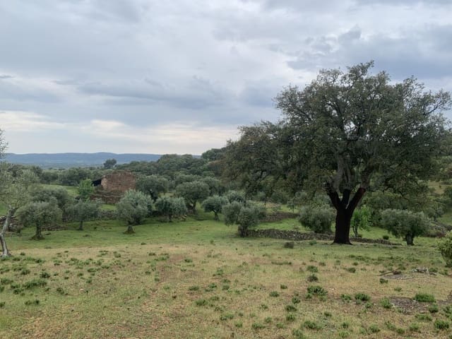 Finca/Casa Rural de 2 habitaciones en San Vicente de Alcántara en venta - 45.000 € (Ref: 9643345)