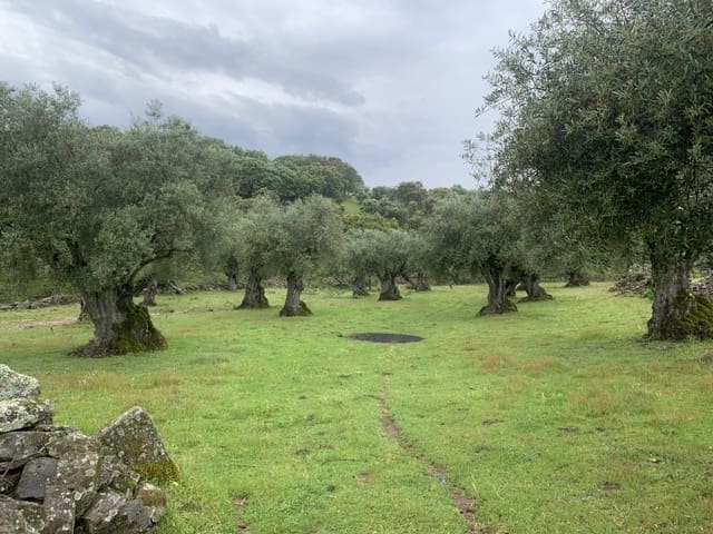 Finca/Casa Rural de 2 habitaciones en San Vicente de Alcántara en venta - 45.000 € (Ref: 9643345)