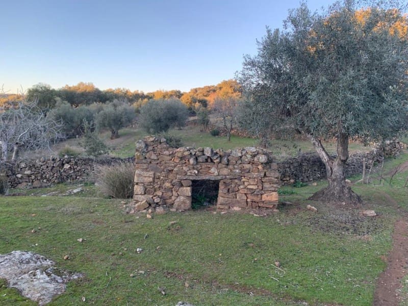 Finca/Casa Rural de 2 habitaciones en San Vicente de Alcántara en venta - 45.000 € (Ref: 9643345)