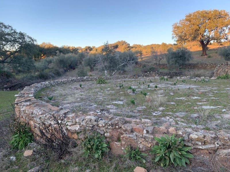 Finca/Casa Rural de 2 habitaciones en San Vicente de Alcántara en venta - 45.000 € (Ref: 9643345)