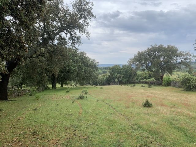 Finca/Casa Rural de 2 habitaciones en San Vicente de Alcántara en venta - 45.000 € (Ref: 9643345)