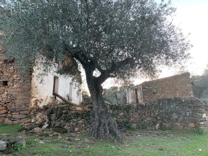 Finca/Casa Rural de 2 habitaciones en San Vicente de Alcántara en venta - 45.000 € (Ref: 9643345)