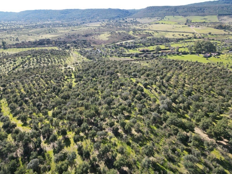 Terreno/Finca Rústica en Valencia de Alcántara en venta - 125.000 € (Ref: 9643346)