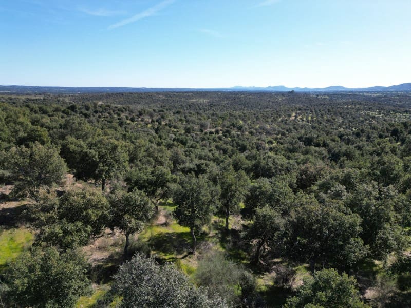 Terreno/Finca Rústica en Valencia de Alcántara en venta - 125.000 € (Ref: 9643346)