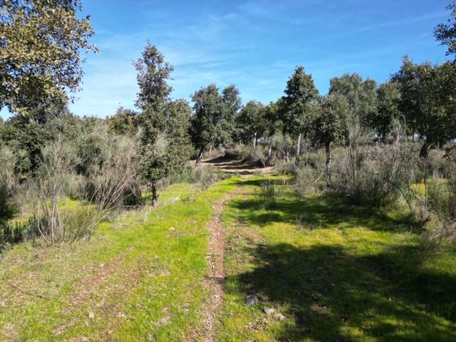 Terreno/Finca Rústica en Valencia de Alcántara en venta - 125.000 € (Ref: 9643346)