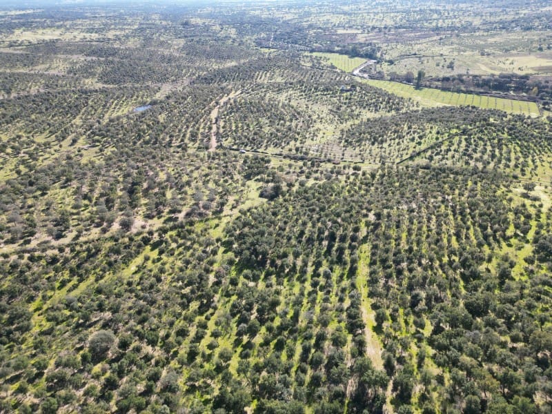 Terreno/Finca Rústica en Valencia de Alcántara en venta - 125.000 € (Ref: 9643346)