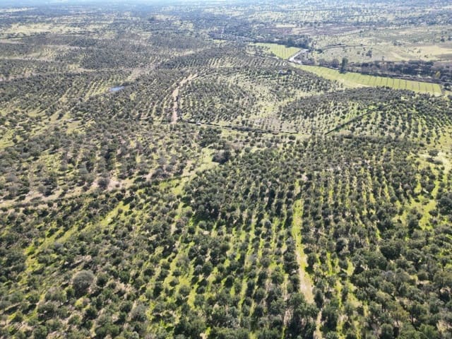 Terreno/Finca Rústica en Valencia de Alcántara en venta - 125.000 € (Ref: 9643346)