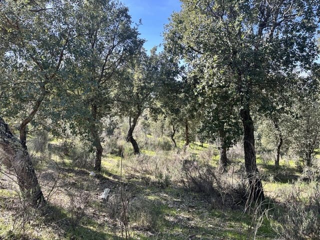 Terreno/Finca Rústica en Valencia de Alcántara en venta - 125.000 € (Ref: 9643346)