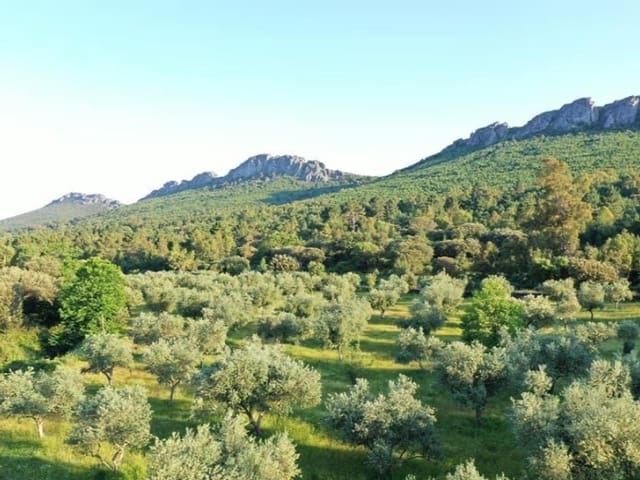 Finca/Casa Rural de 1 habitación en Valencia de Alcántara en venta - 279.000 € (Ref: 9643347)