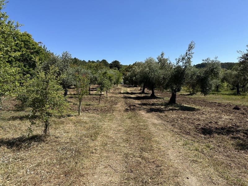 Finca/Casa Rural de 1 habitación en Valencia de Alcántara en venta - 279.000 € (Ref: 9643347)