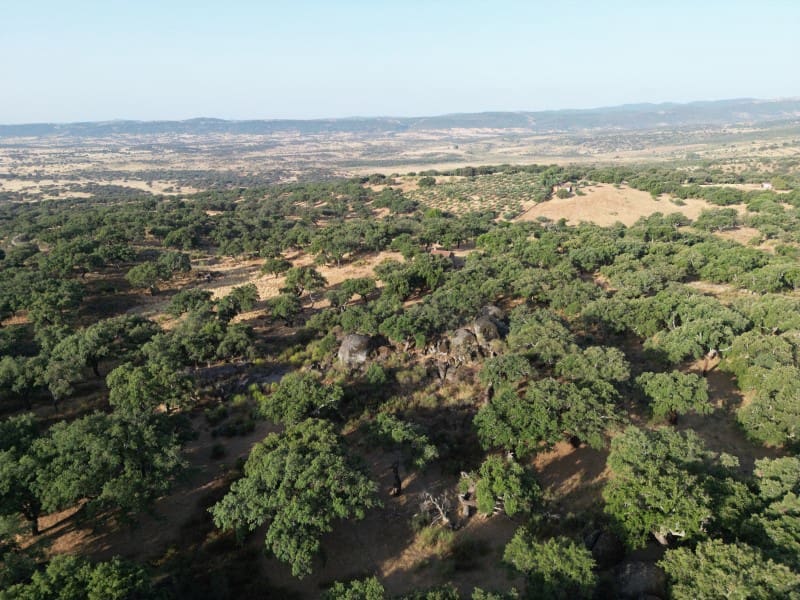 Finca/Casa Rural de 1 habitación en San Vicente de Alcántara en venta - 69.000 € (Ref: 9643348)