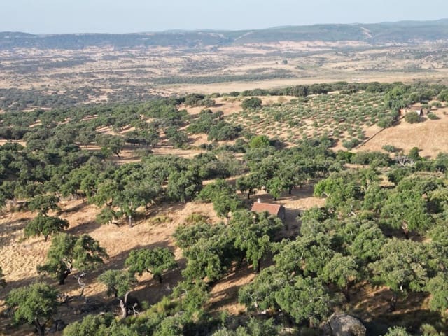 Finca/Casa Rural de 1 habitación en San Vicente de Alcántara en venta - 69.000 € (Ref: 9643348)