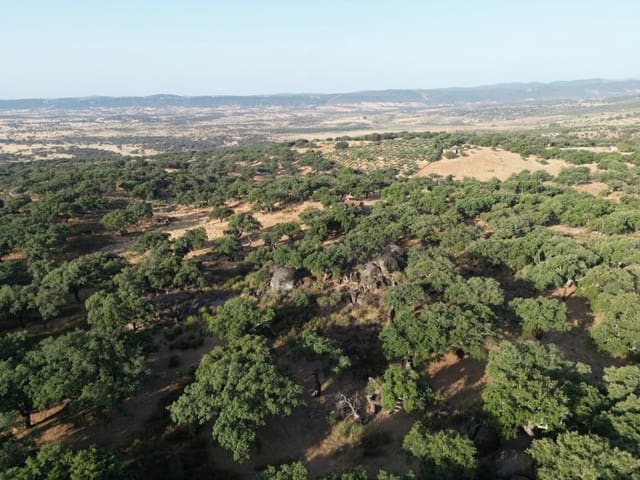 Finca/Casa Rural de 1 habitación en San Vicente de Alcántara en venta - 69.000 € (Ref: 9643348)